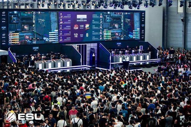 队荣誉的维 队荣誉的维