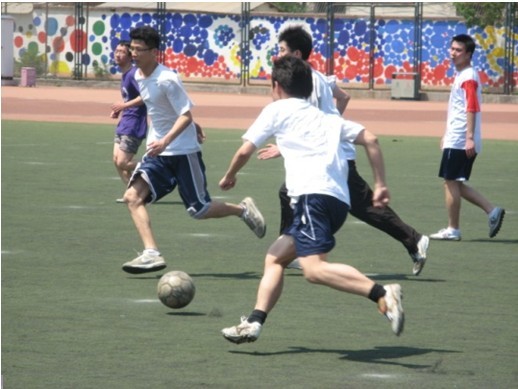 有统计显示 有统计显示